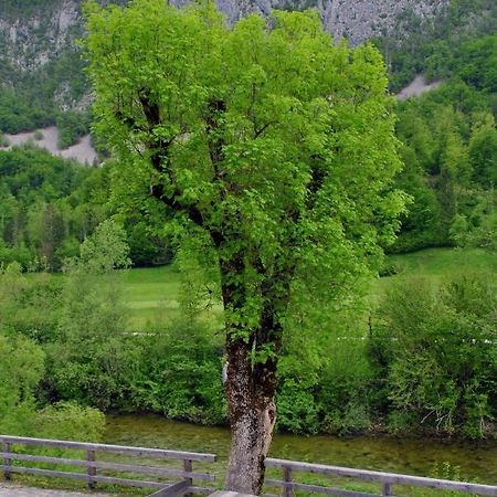 Riverside Village Apartment Bohinj Eksteriør bilde