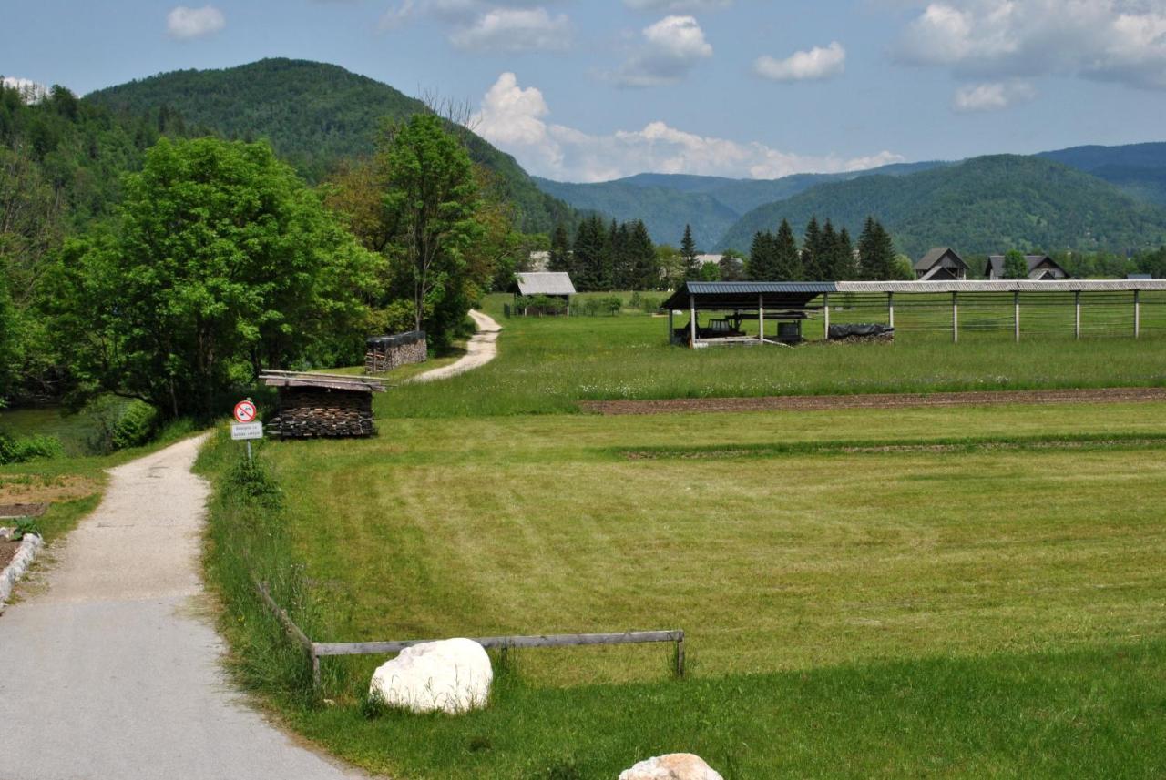 Riverside Village Apartment Bohinj Eksteriør bilde